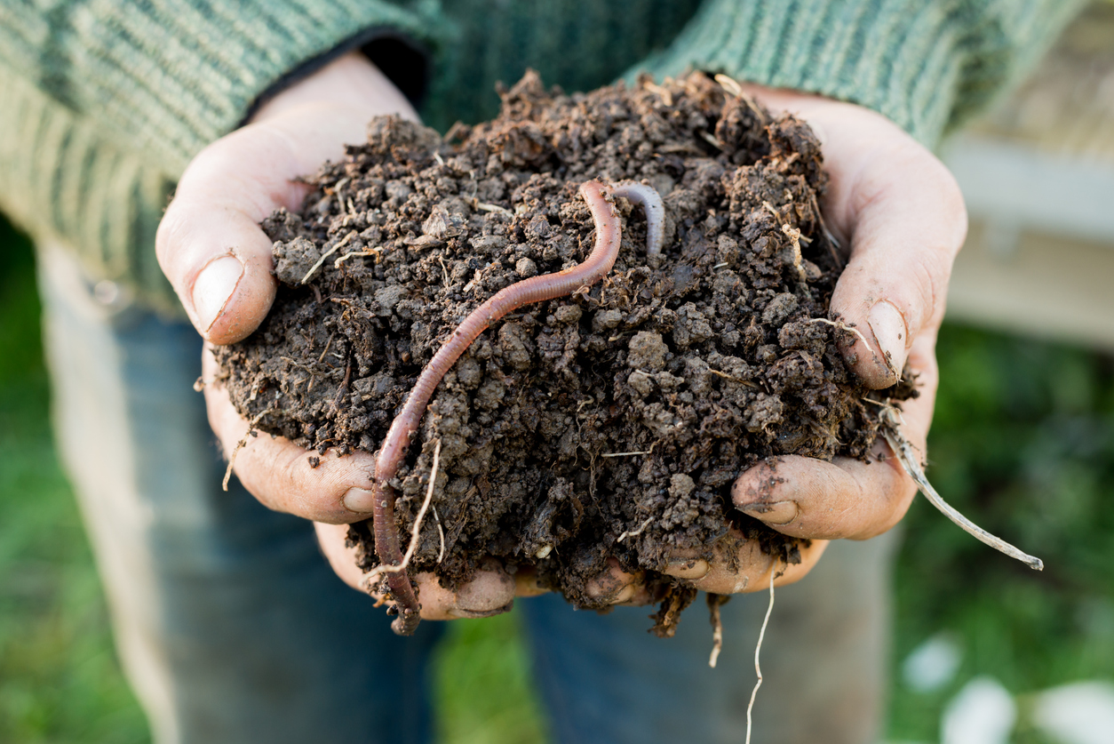 A new measure for Soil Biological Health