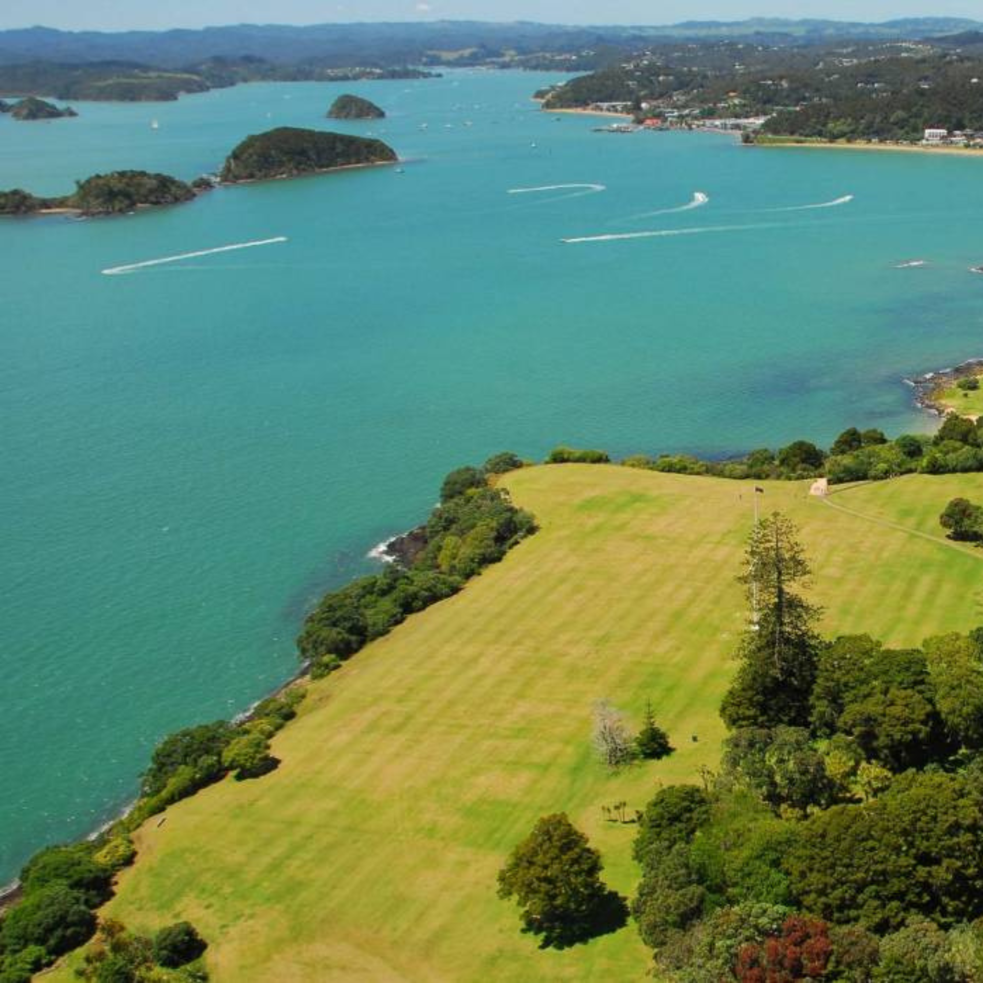 Waitangi Day Observed