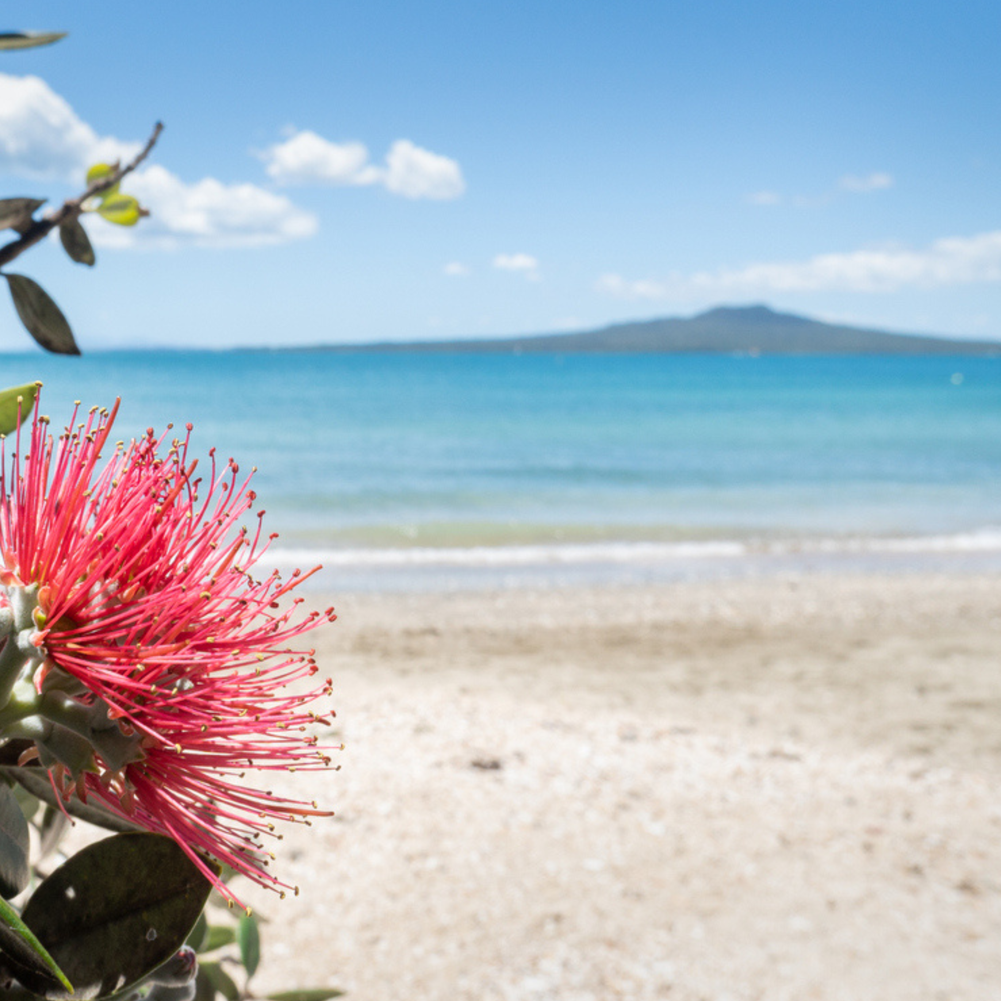 Auckland Anniversary Day Observed